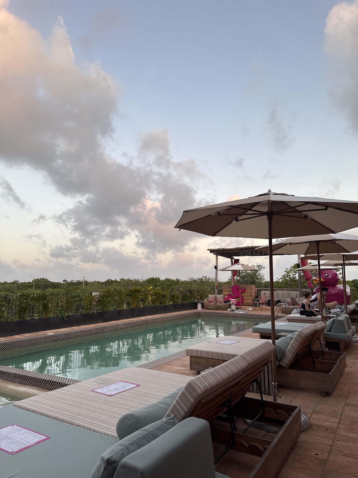 Patito Total Fun Rooftop — photo 6