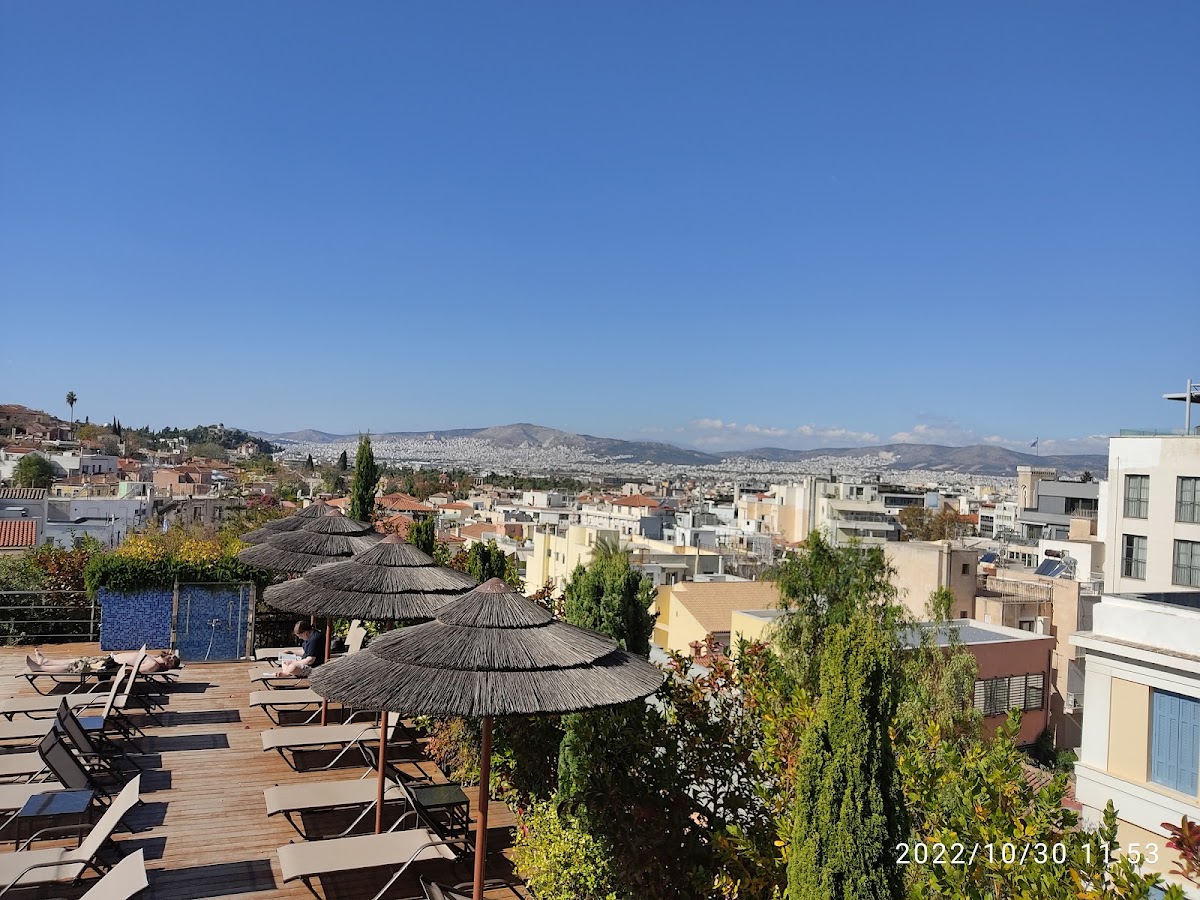 Electra Roof Garden — photo 6