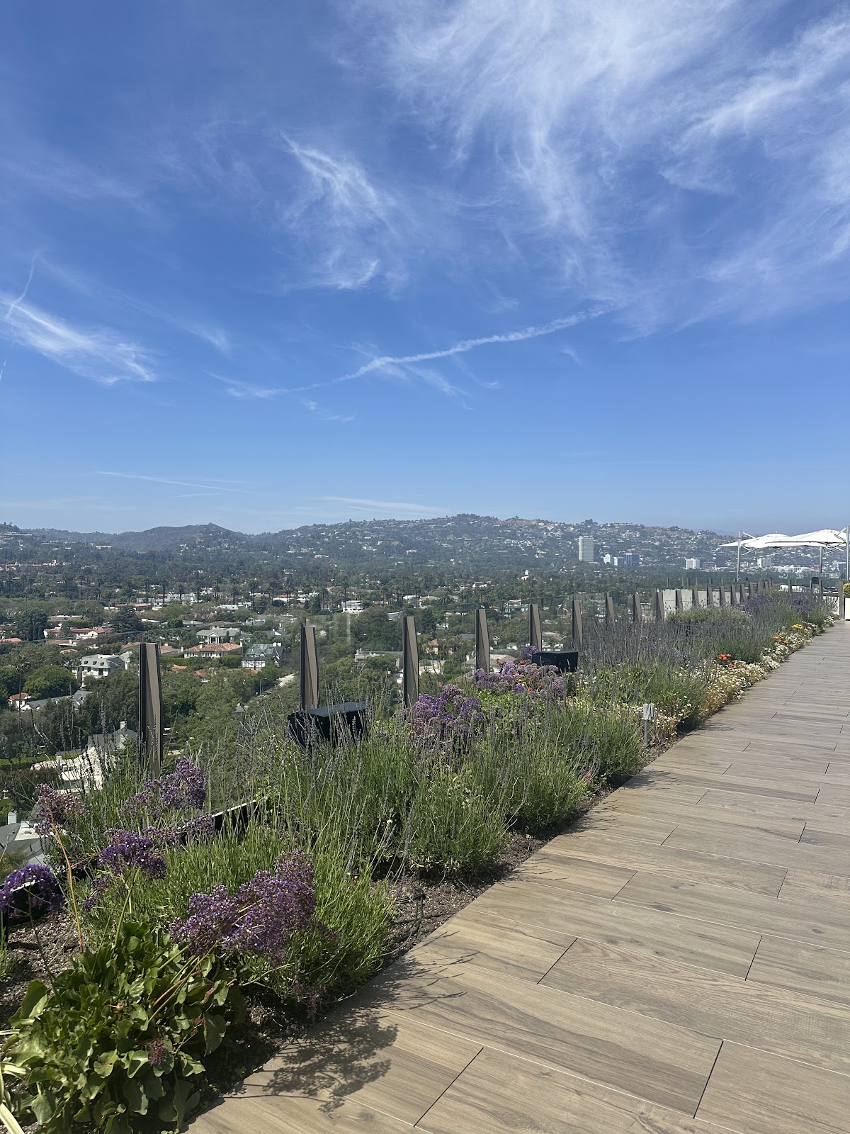 The Rooftop Beverly Hills — photo 6