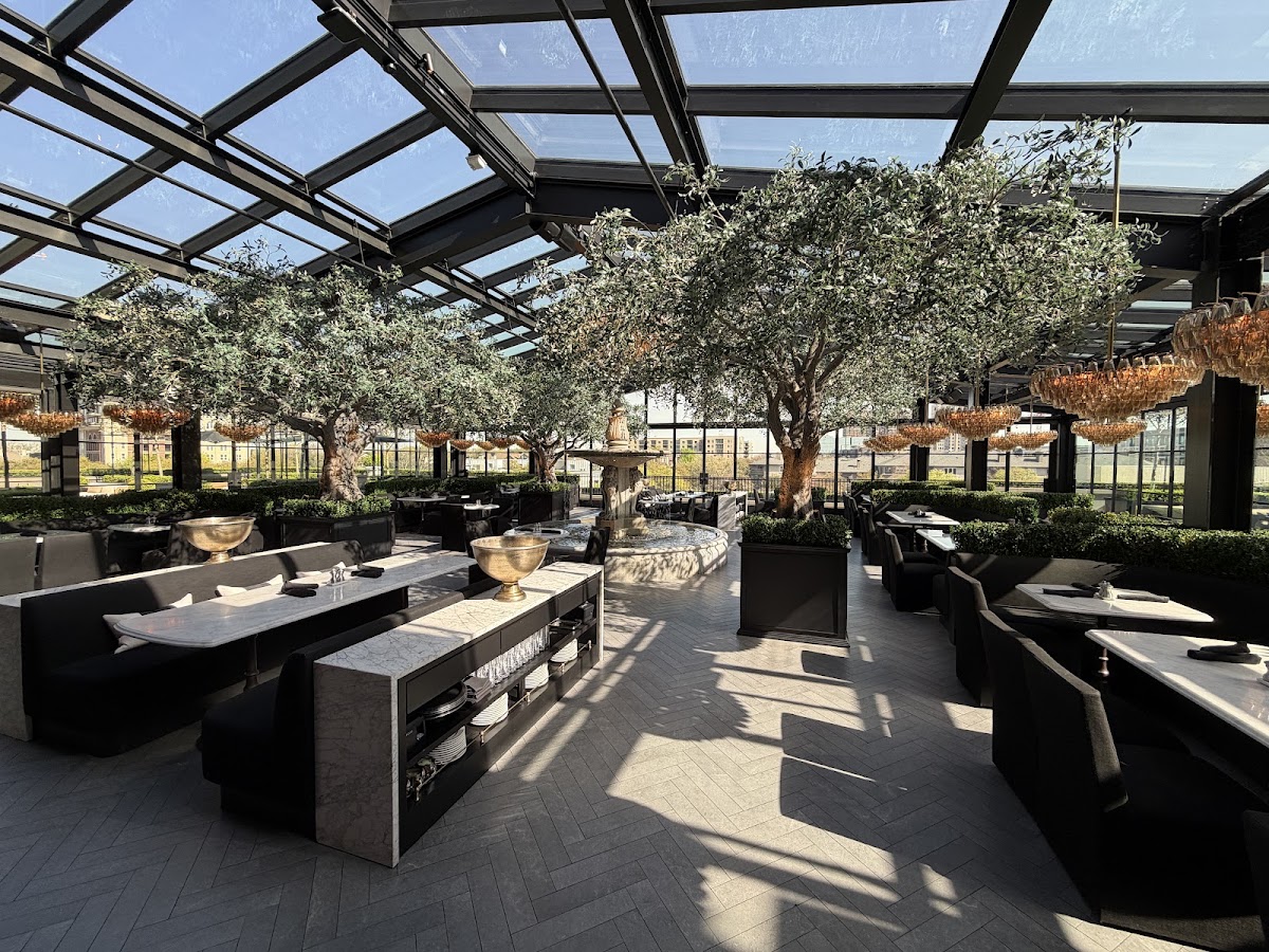 RH Rooftop Restaurant at RH Dallas — photo 6