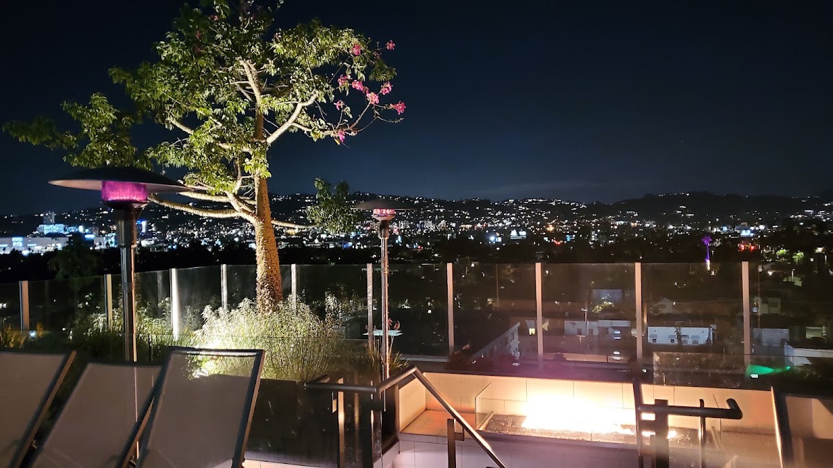 Videre Rooftop Restaurant & Bar — photo 6