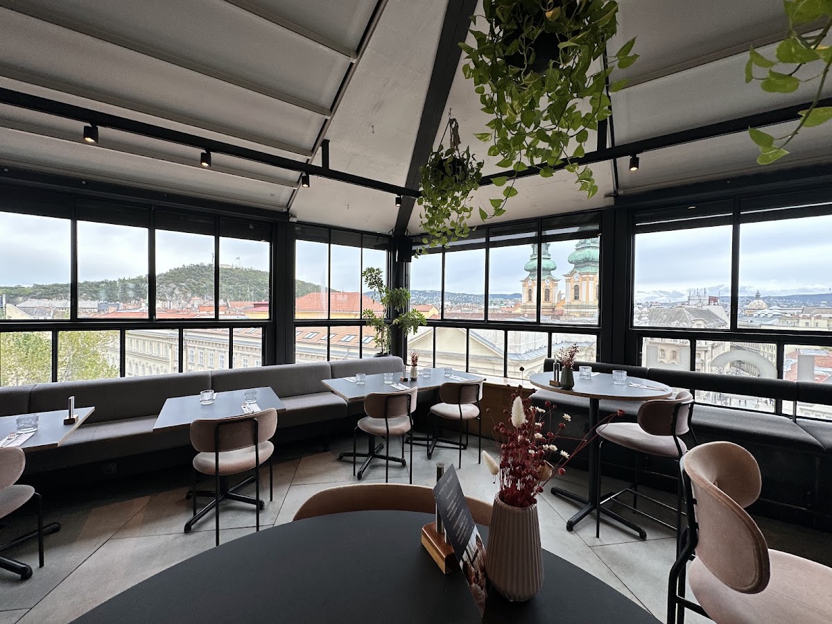 SOLID Rooftop Brunch Restaurant — photo 6