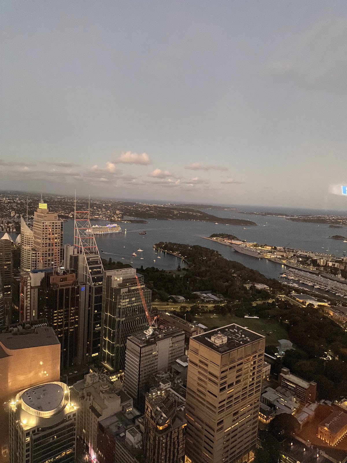 Bar 83 at Sydney Tower — photo 6