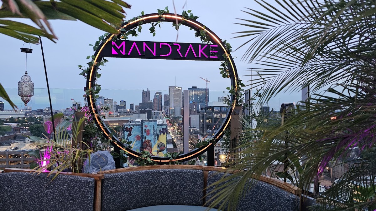 Mandrake Rooftop — photo 6