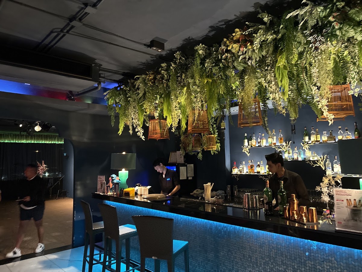 TWIST Rooftop Restaurant & Bar — photo 6