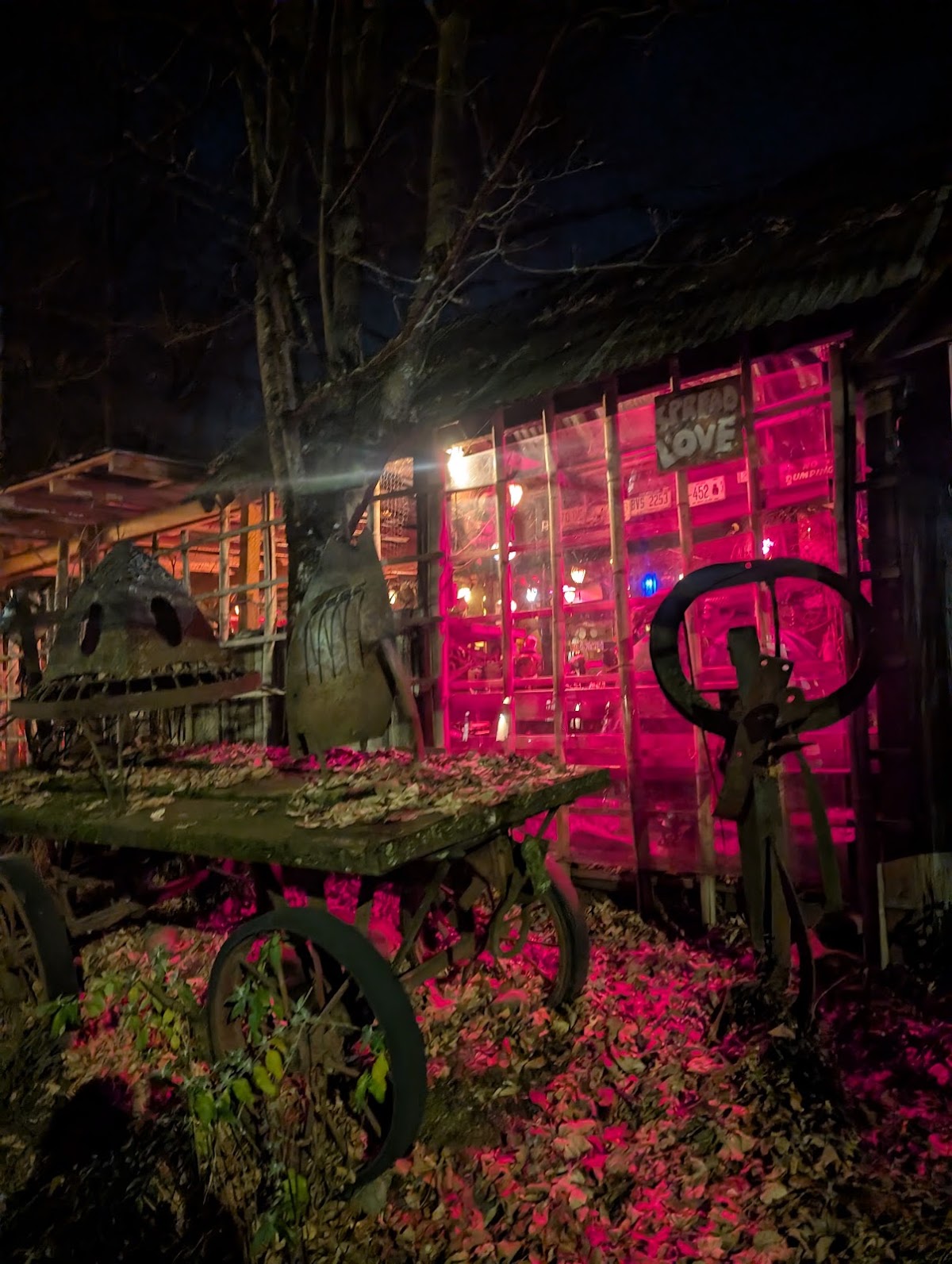 A Roadside Attraction — photo 6