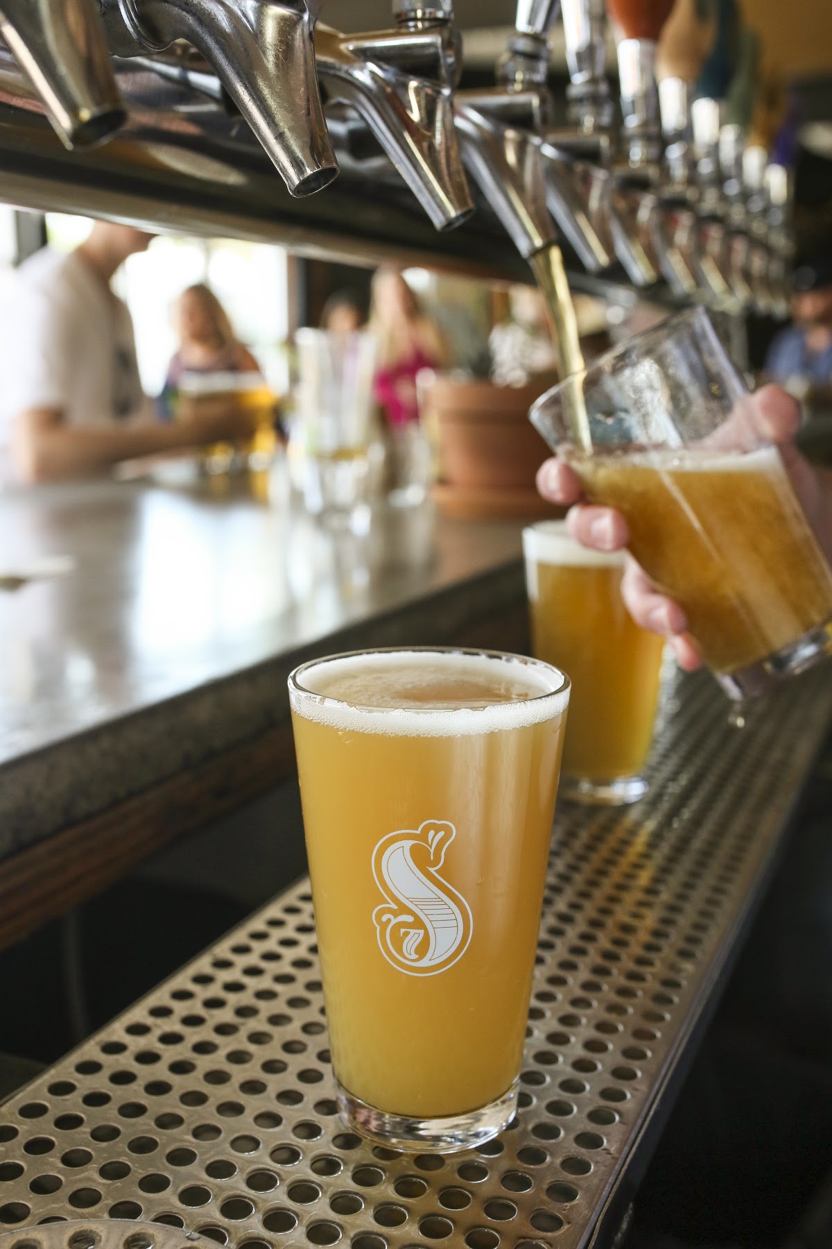 Seventh Son Brewing Co. rooftop view