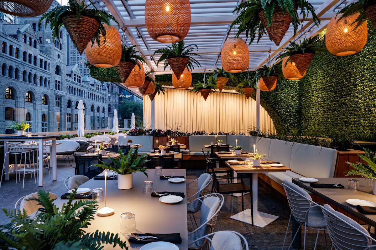 Terrasse Belvu rooftop view