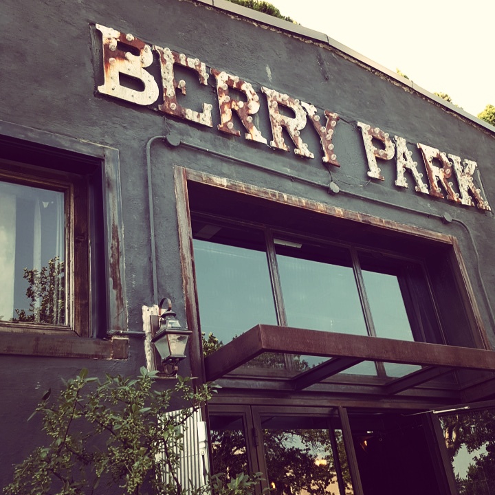 Berry Park rooftop view