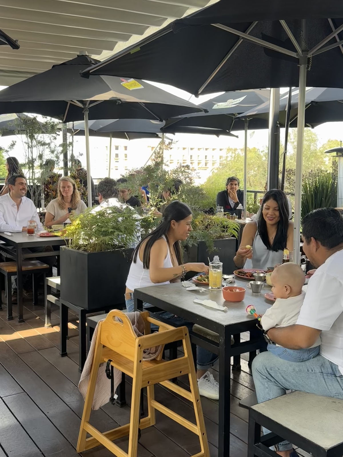 La Azotea rooftop view