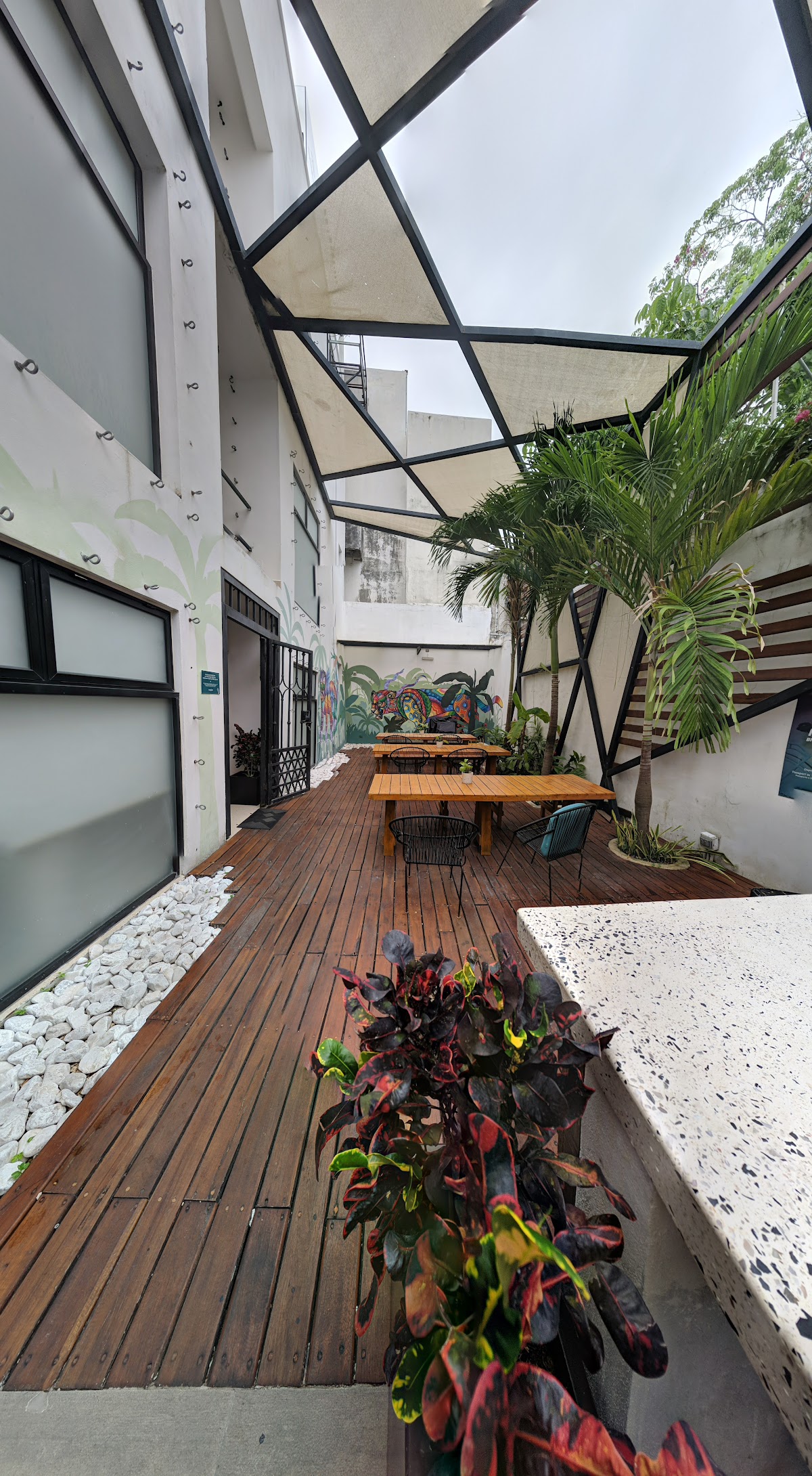 Nomads Hotel & Rooftop Pool Cancun rooftop view