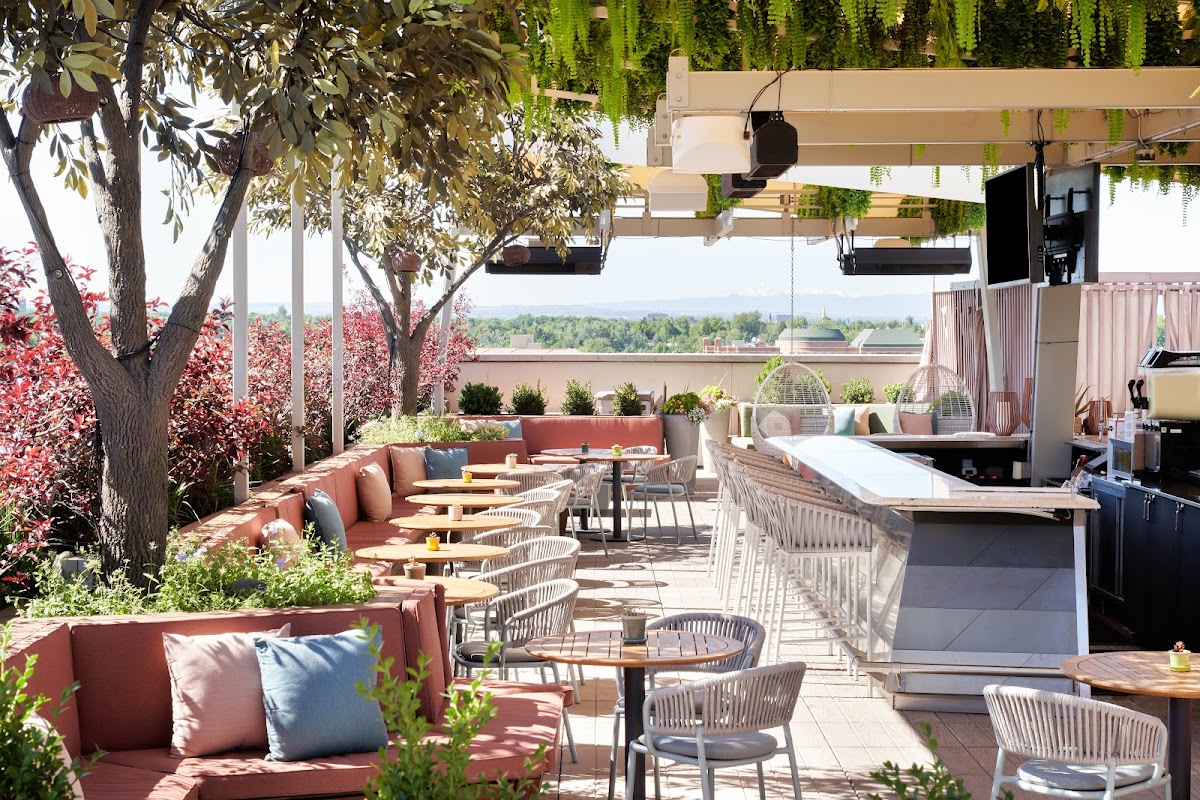 Rare Bird rooftop view