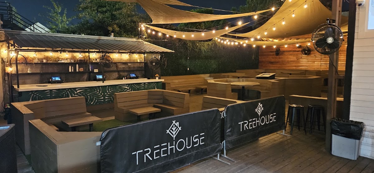 Treehouse rooftop view