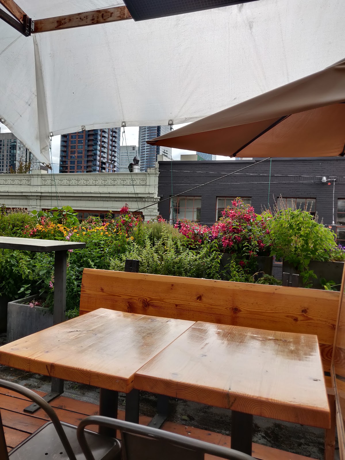 Terra Plata rooftop view